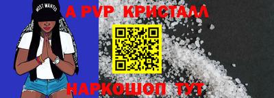 шишки Будённовск