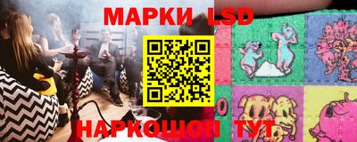шишки Будённовск