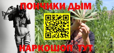 шишки Будённовск