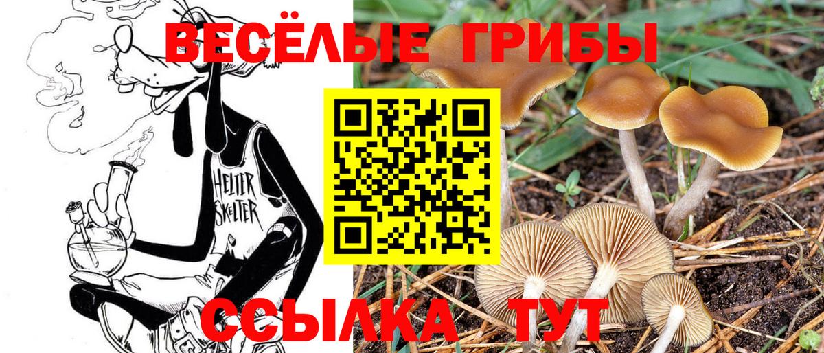 Отрадный  Псилоцибиновые грибы прущие грибы  Галлюциногенные грибы Psilocybe  Вход с VPN 