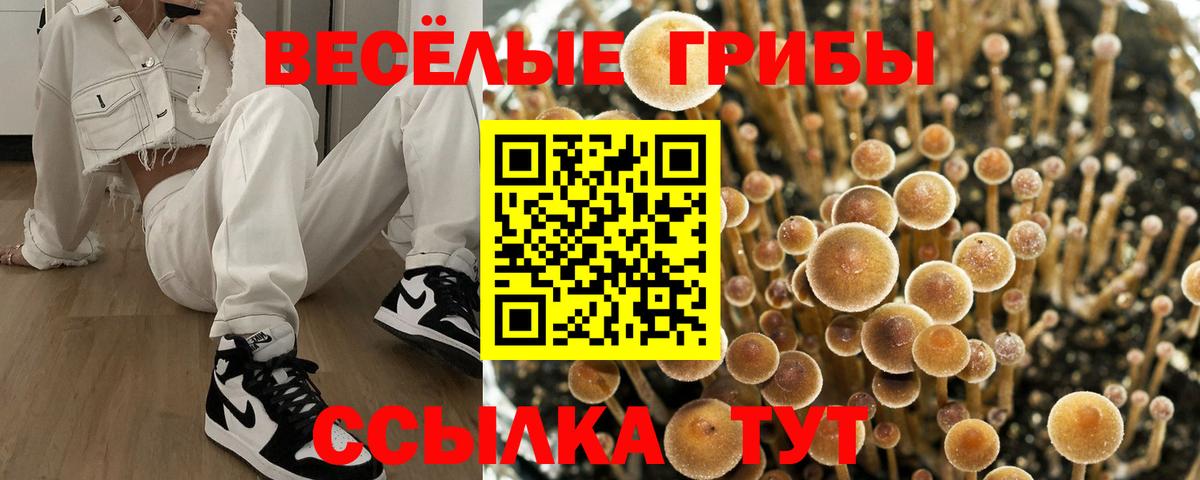 Галлюциногенные грибы Magic Shrooms Отрадный